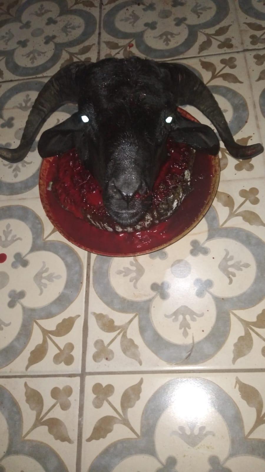 Oferenda