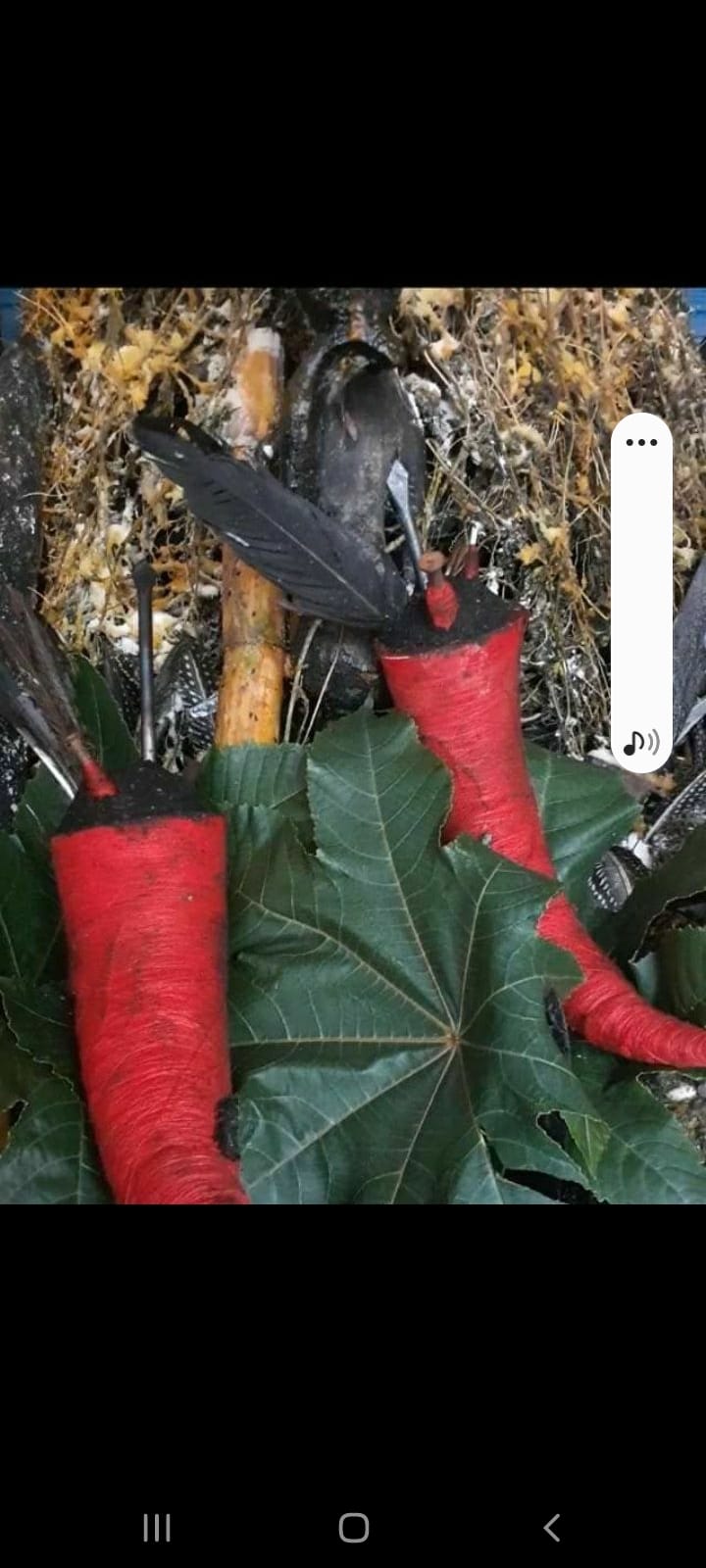 Oferenda